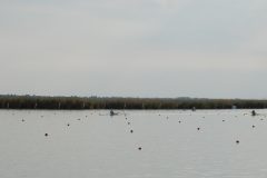 DSC_0164-2